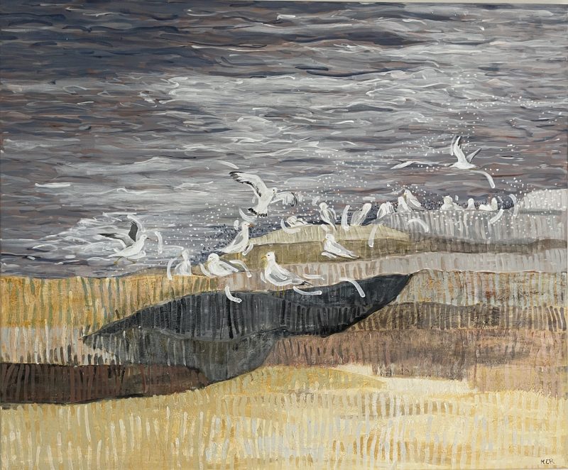 Gulls on Western Australian coast