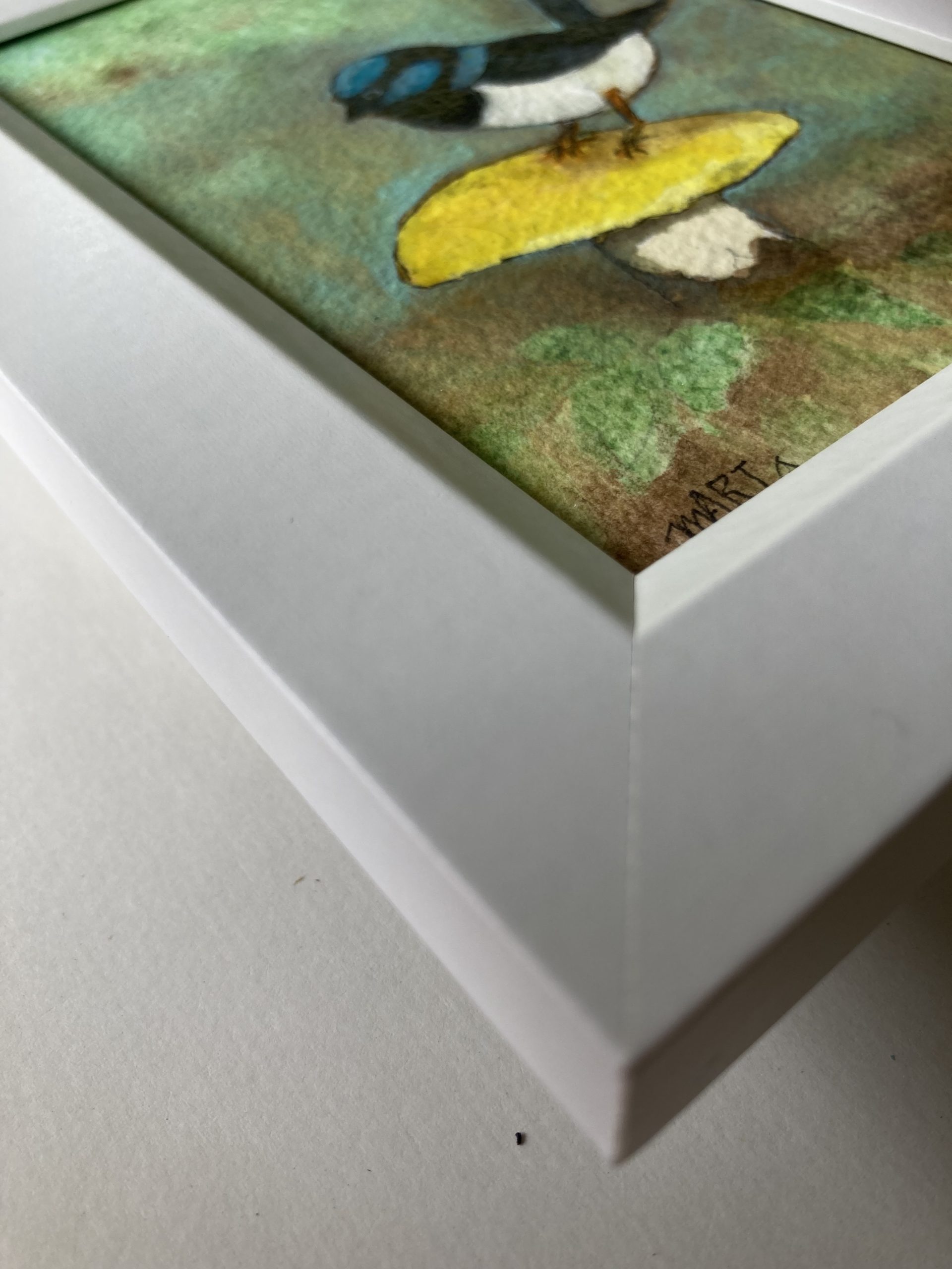 360 Yellow And Blue Edge