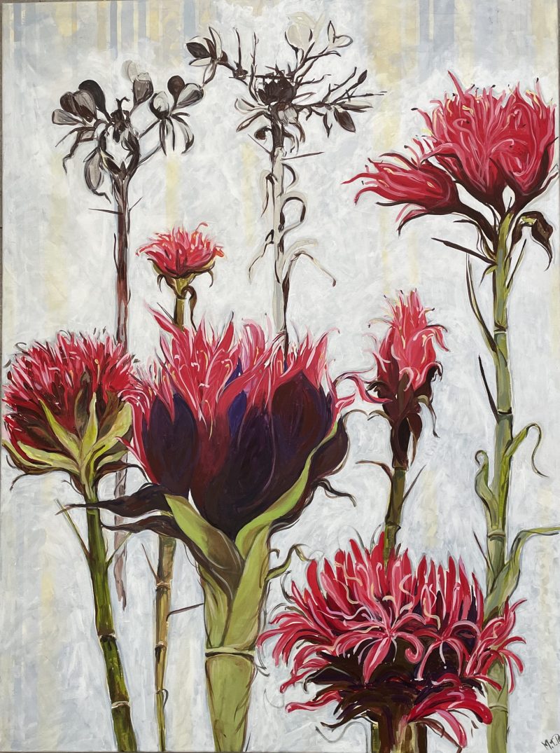 Blooming Gymea Lilies