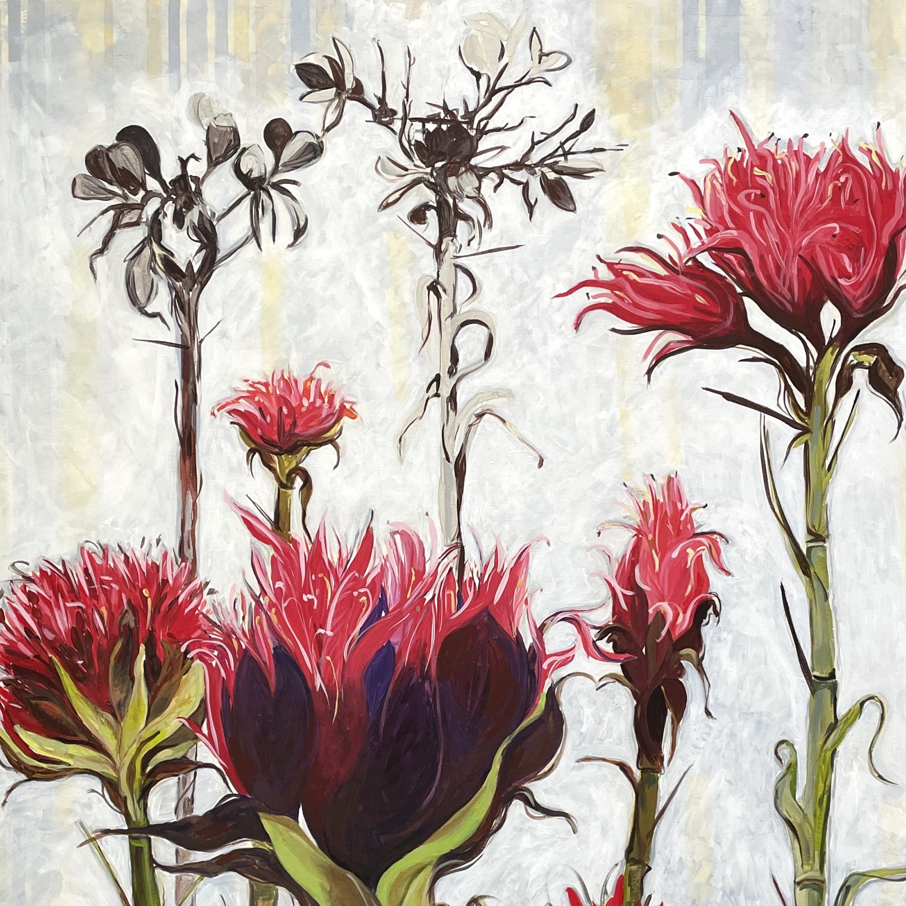 Blooming Gymea Lilies Art Lovers Australia