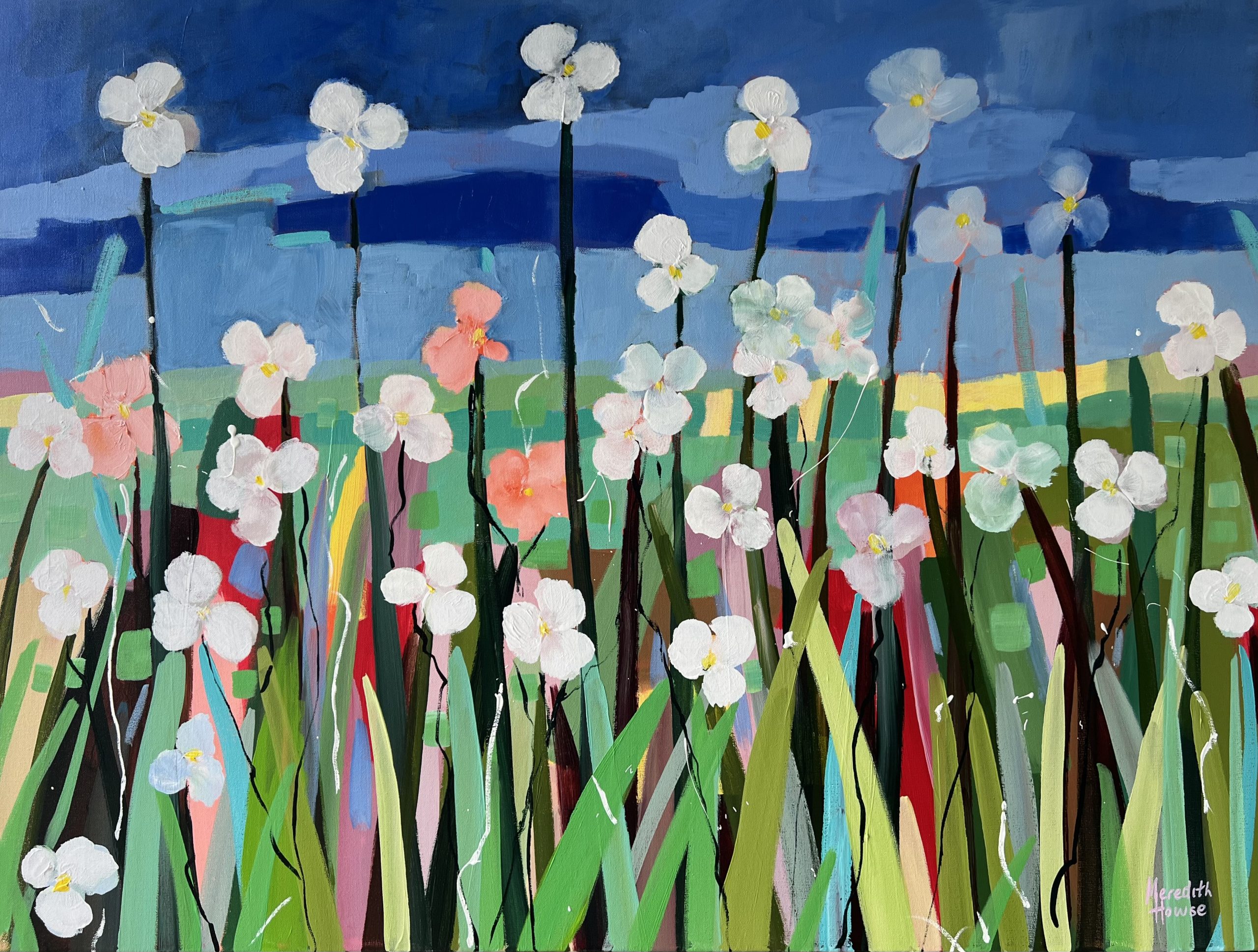 Flower Day By Meredith Howse