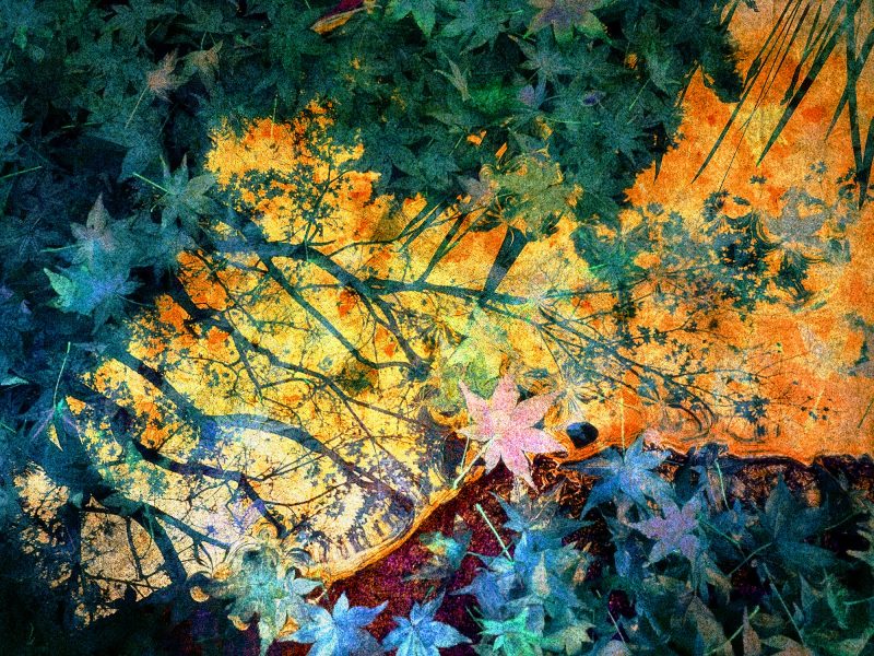 Reflected Glory – Ltd Ed Photography