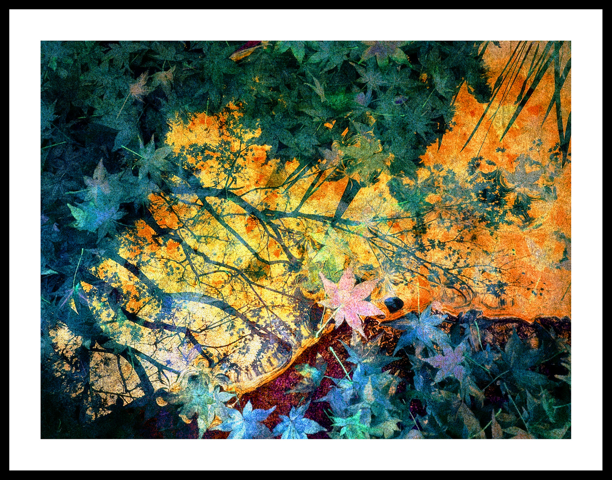 Reflected Glory Framed