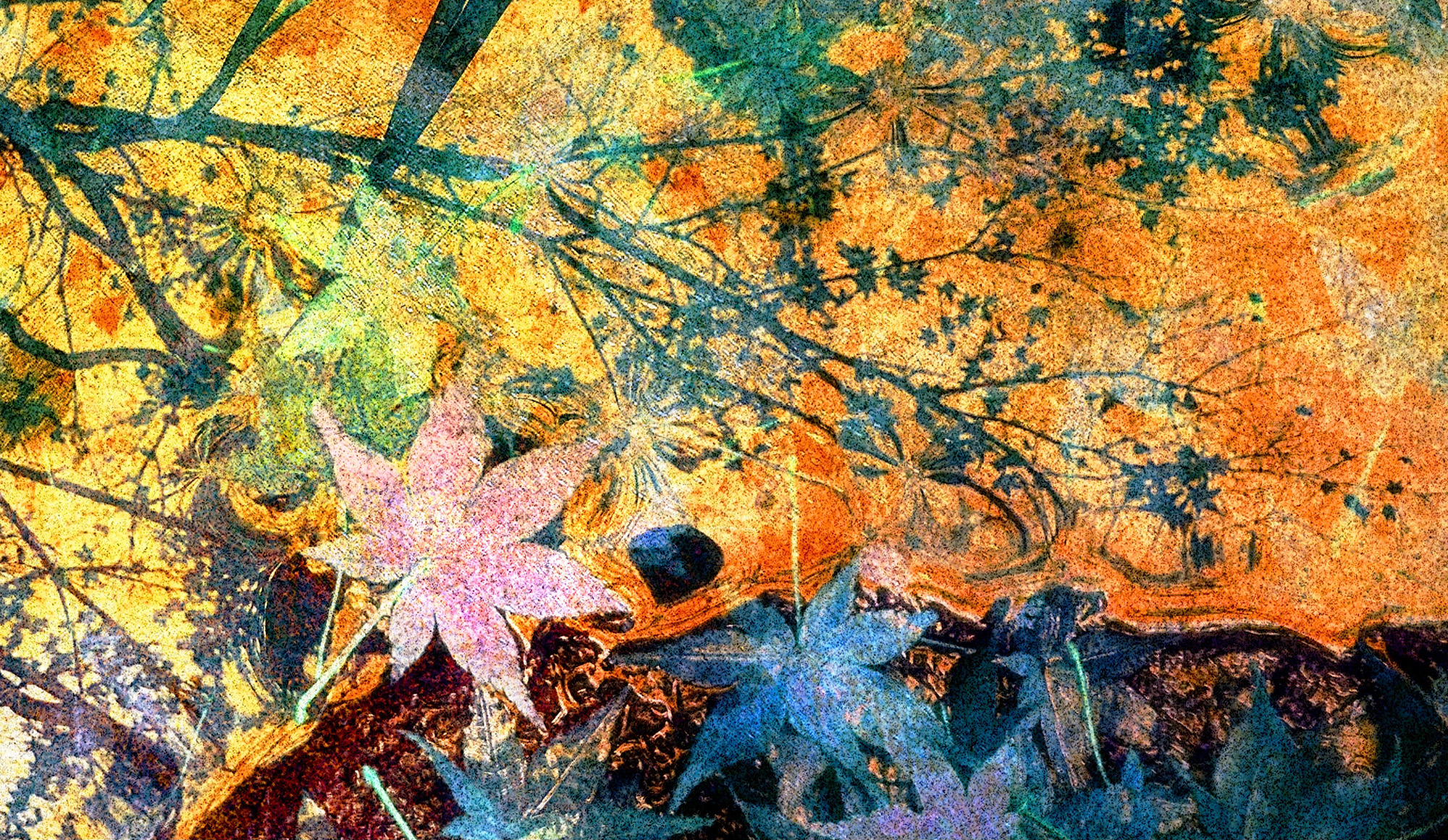 Reflected Glory Detail