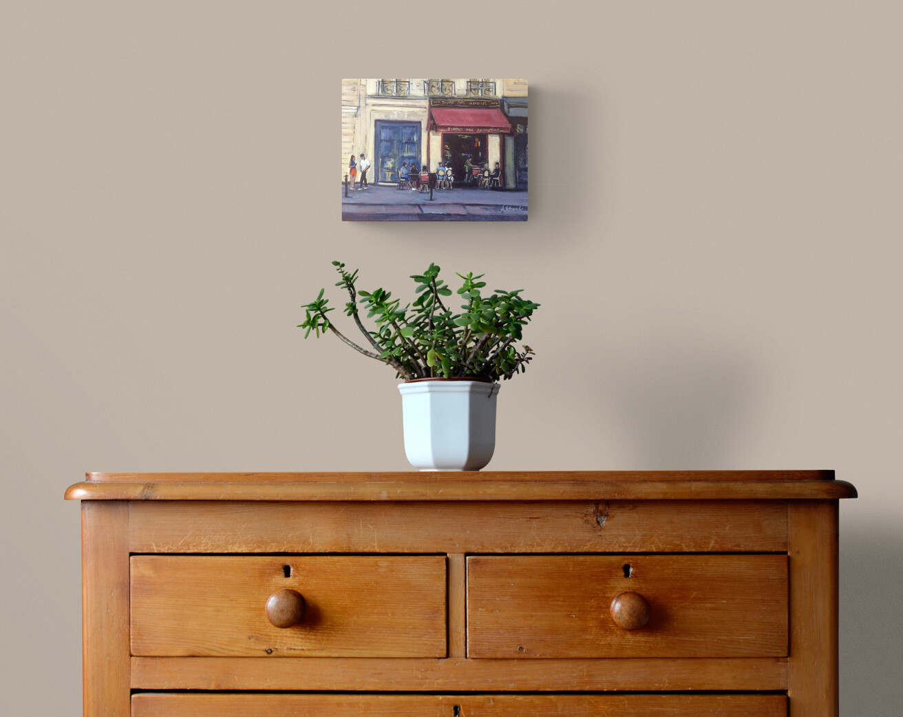 Plant On Wooden Drawers (4)