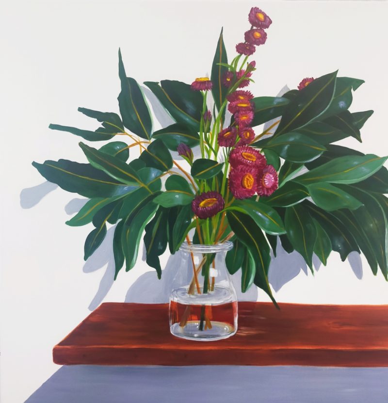 Swamp mahogany leaves and everlasting daisies