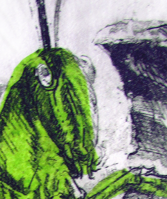Etching. Hedge Grasshopper Det1