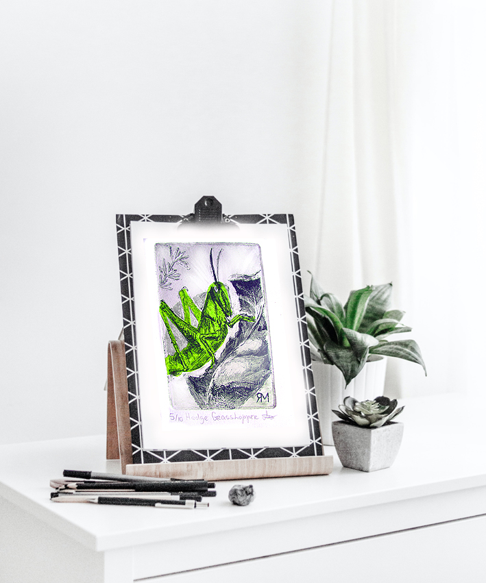 Heade Hoper Insitu Copy