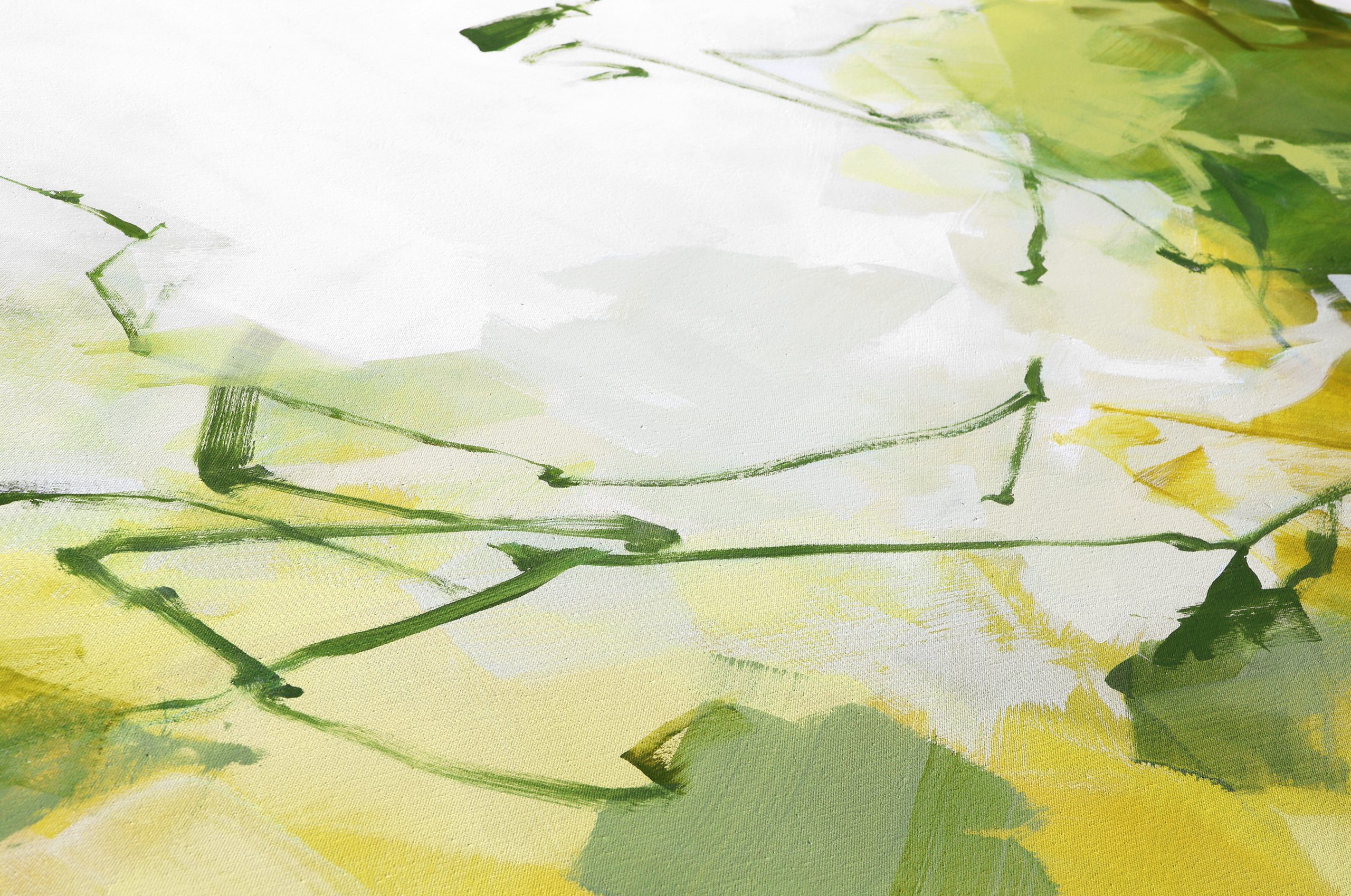 Oasis Close Oasis Close