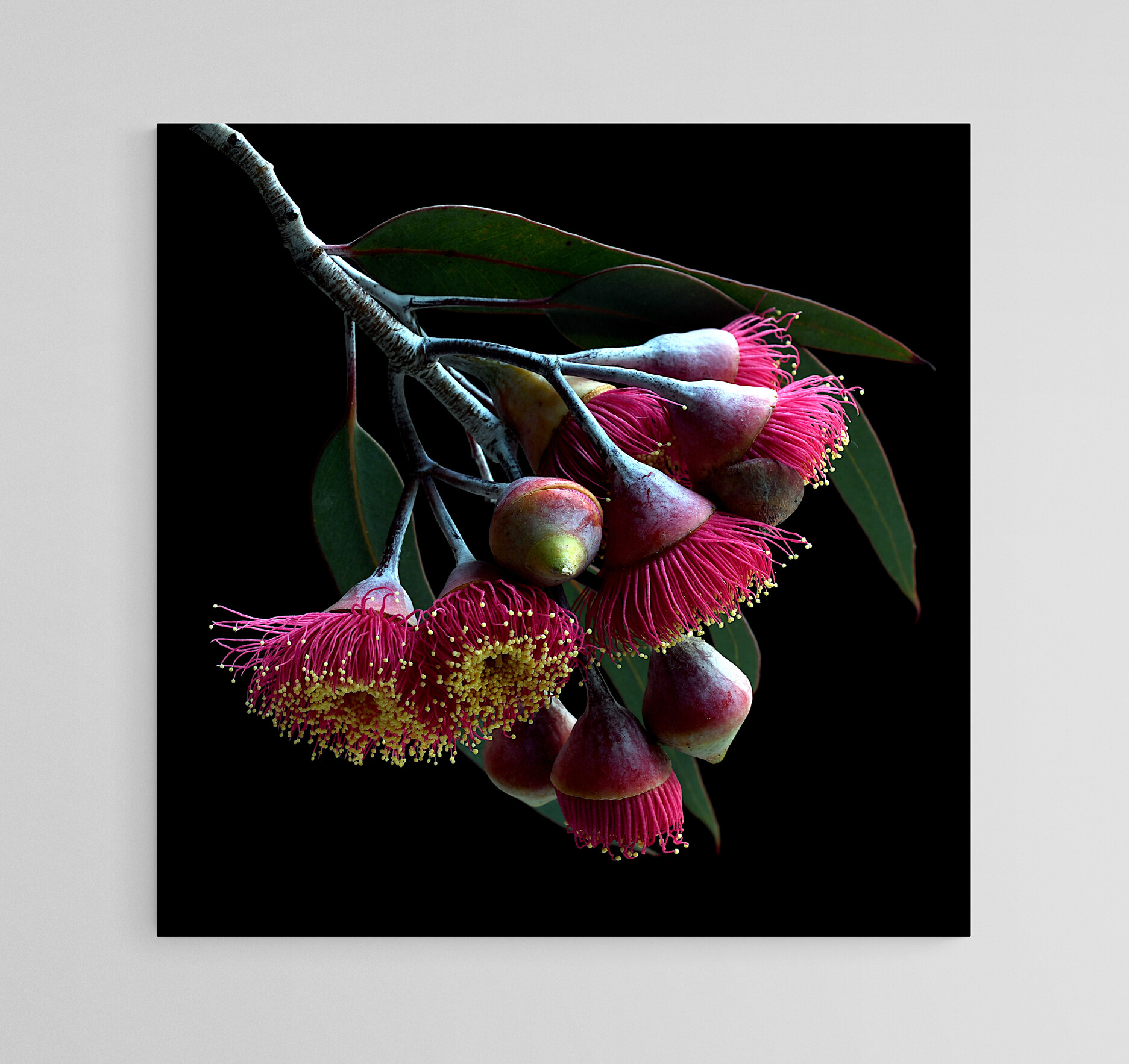 Empty Room 2024 05 29t102656.757