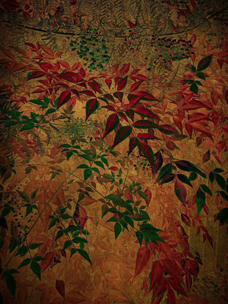 Antique – Ltd Ed Photography