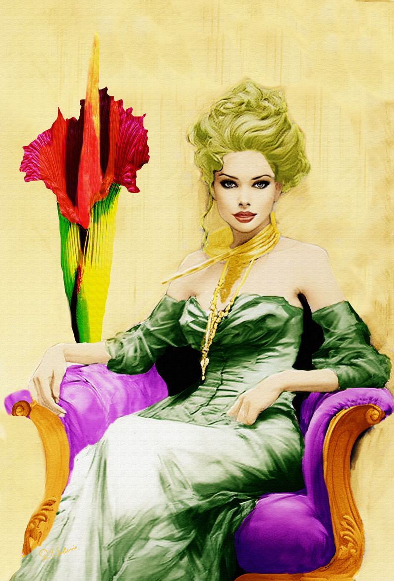 Street Urban Art  collection number 277