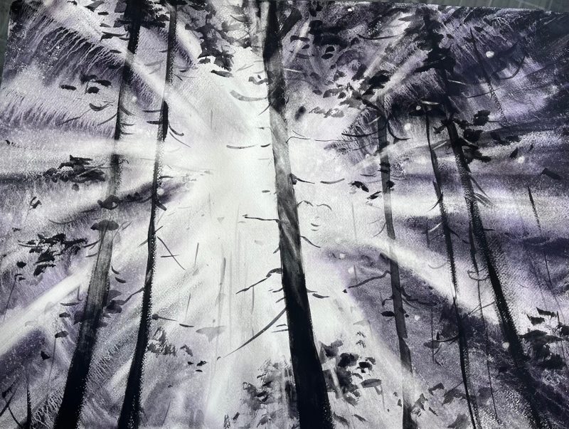 The Light in the darkness