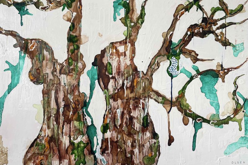 What the trees told me