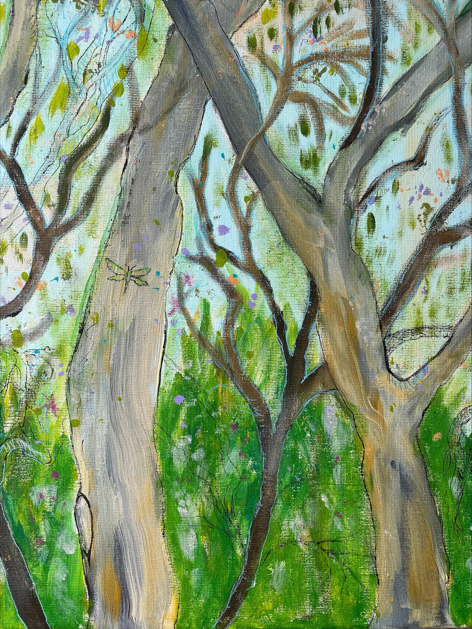 20240330 Magical Gumtrees Detail3