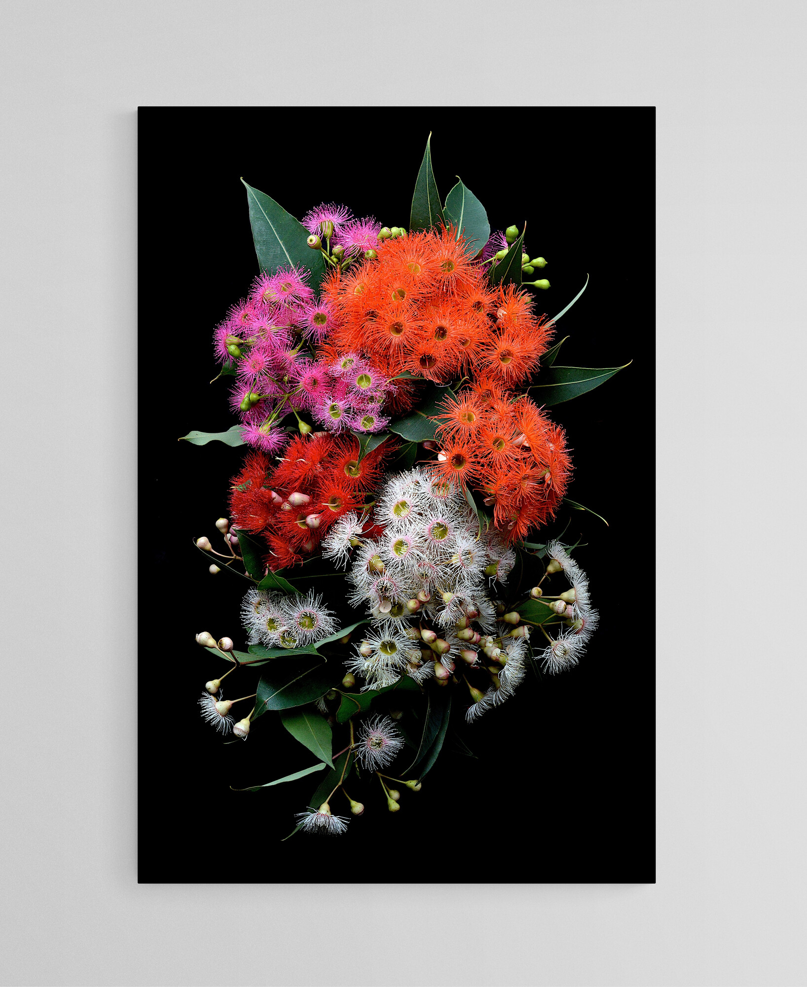 Empty Room 2024 06 05t102325.867