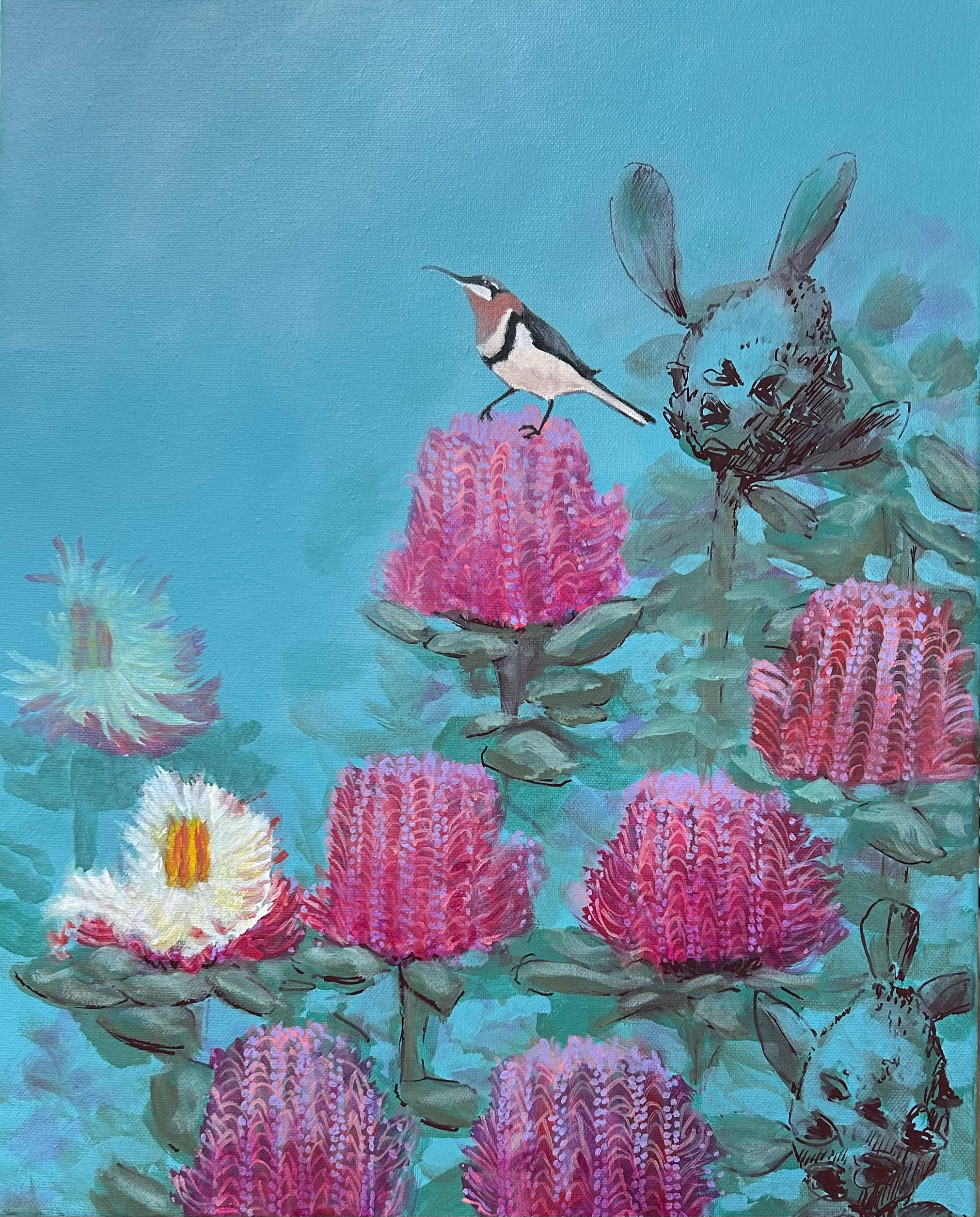 Banksia Bliss Western Spinebill.7