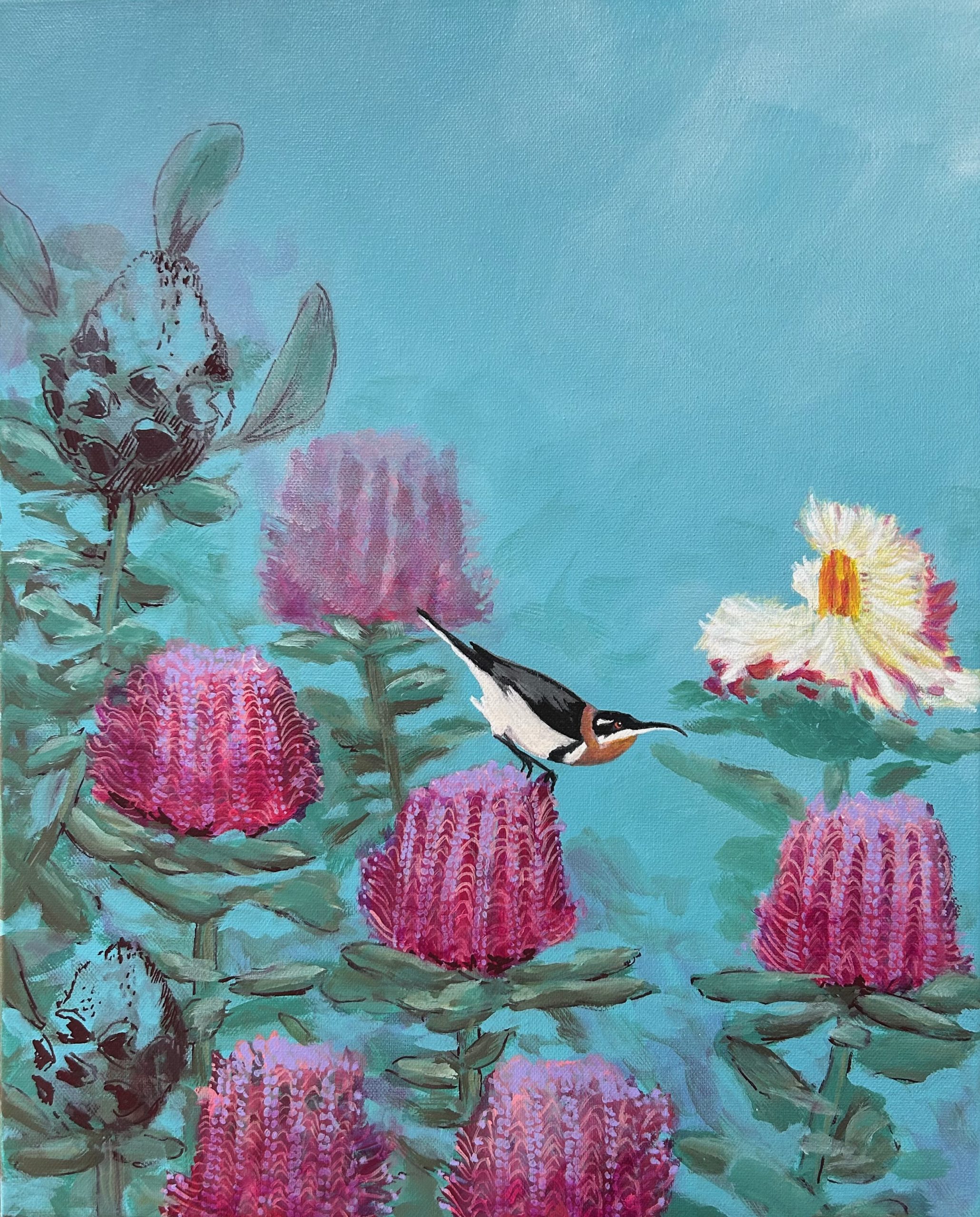 Banksia Bliss Western Spinebill.8