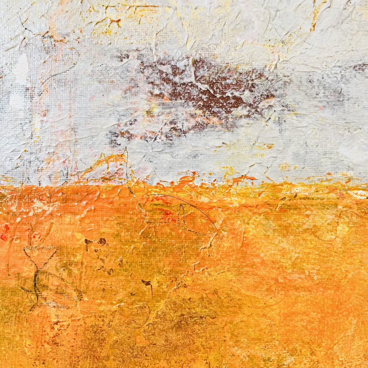 3. Small White Orange Close Up 1