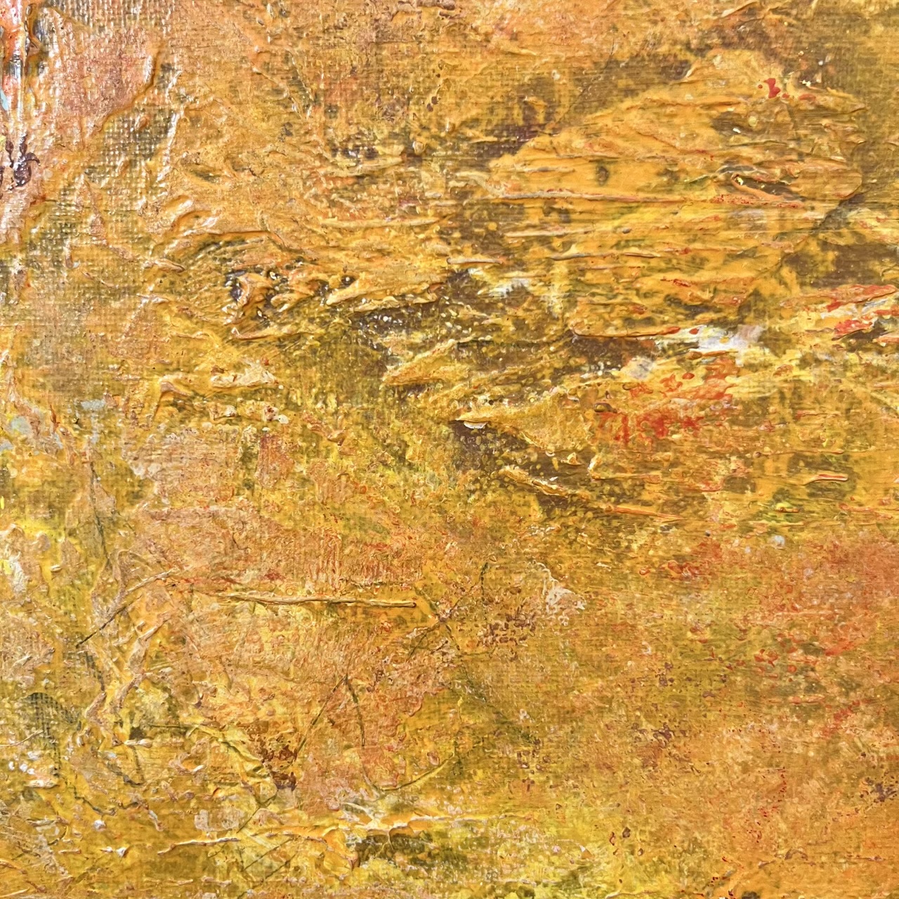 4. Small White Orange Close Up 2