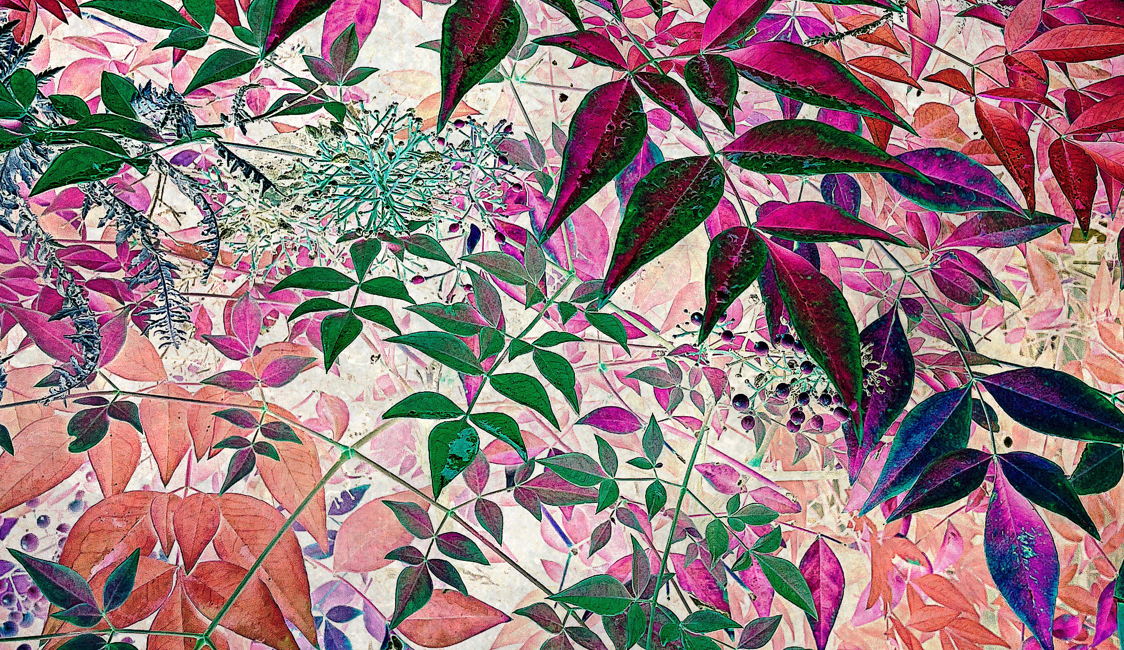 Prismatic Garden 1 Detail