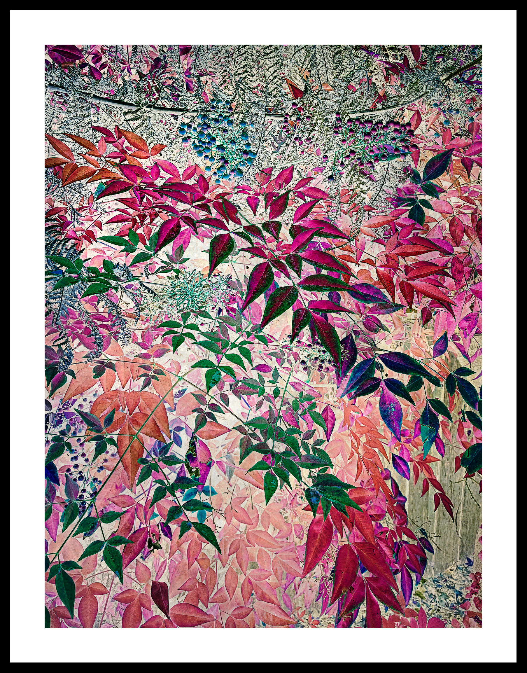 Prismatic Garden 1 Framed