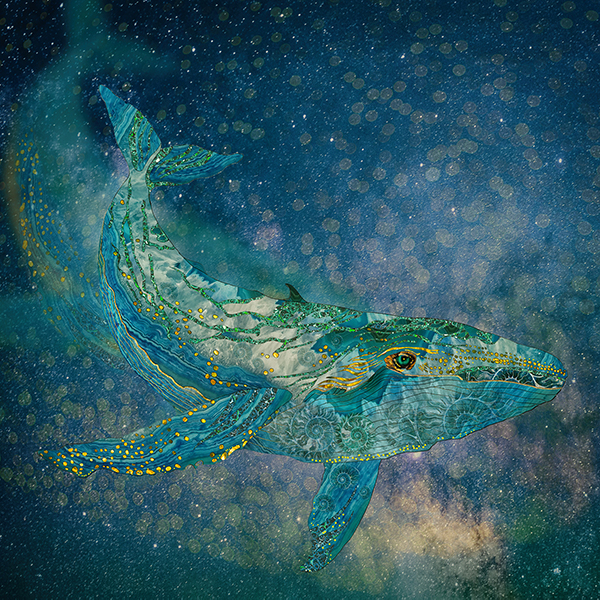 Humpback Whale