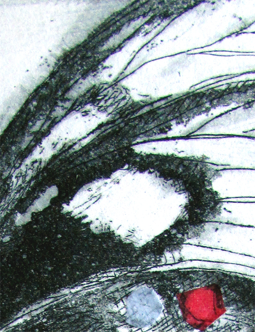 Orchard Swallow Tail Buterfly Det3