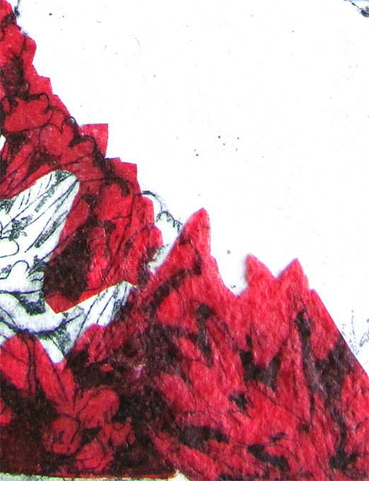 Orchard Swallow Tail Buterfly Det4