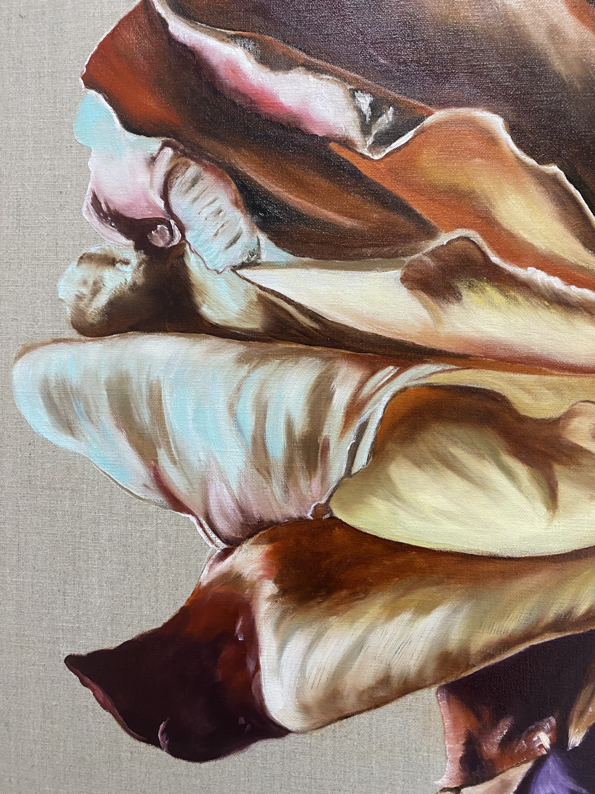 Rose Exquisite Closeup2 Wendy Peters