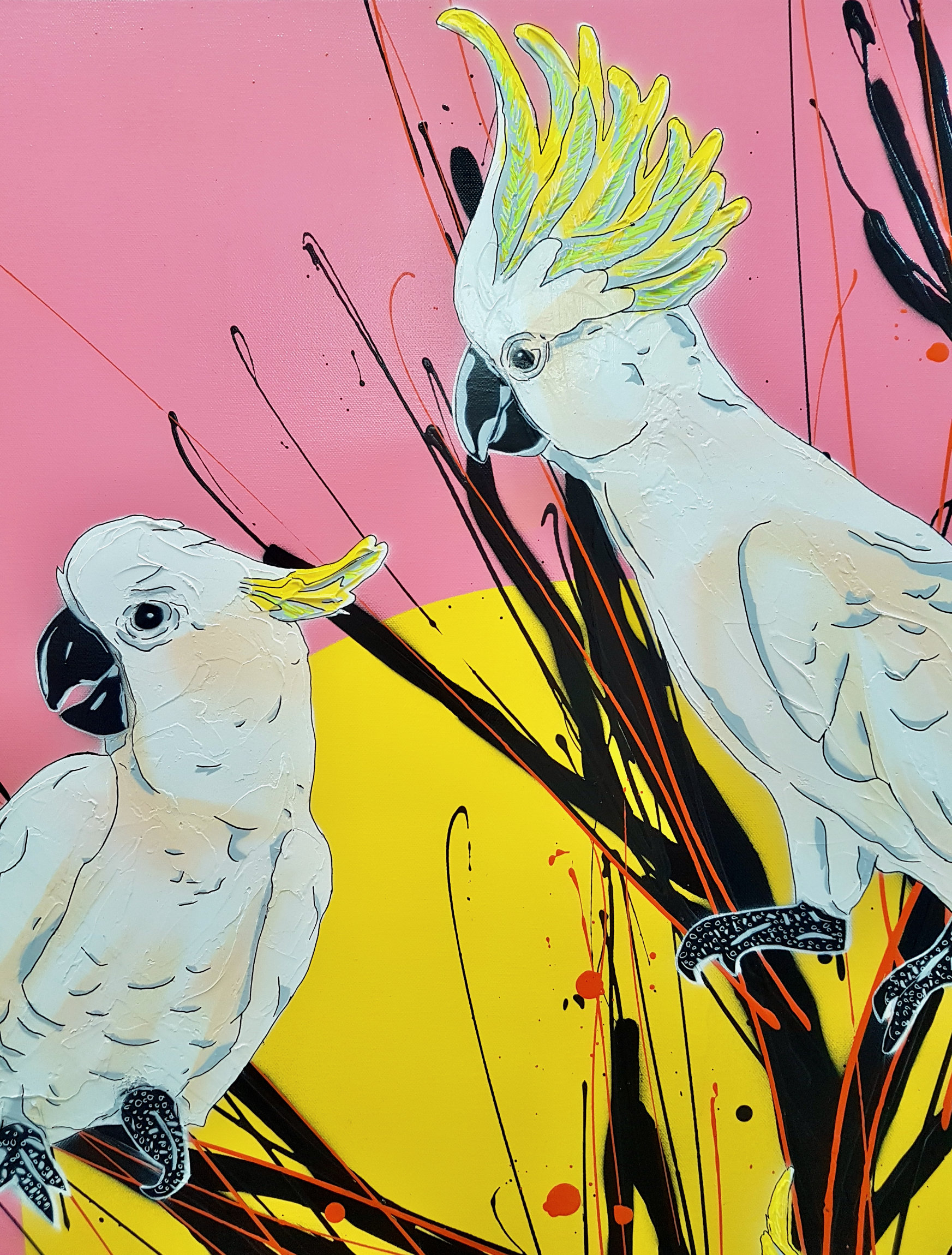 Cockatoos At Sunset Deborah Lang Urban Pop Art 4
