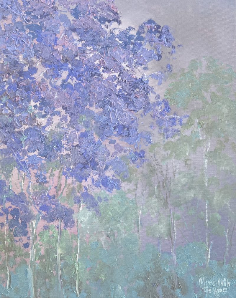 Illumination Jacaranda in September