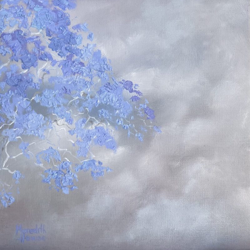 Illumination Jacaranda Flowers