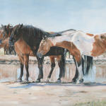 User 32498 Jo Stacey 2024 06 13 T 09 42 45 463 Z Midday Dreaming Fine Art Oils Onaqui Horses Paint And Pony Jo S. Stacey S:shot.png