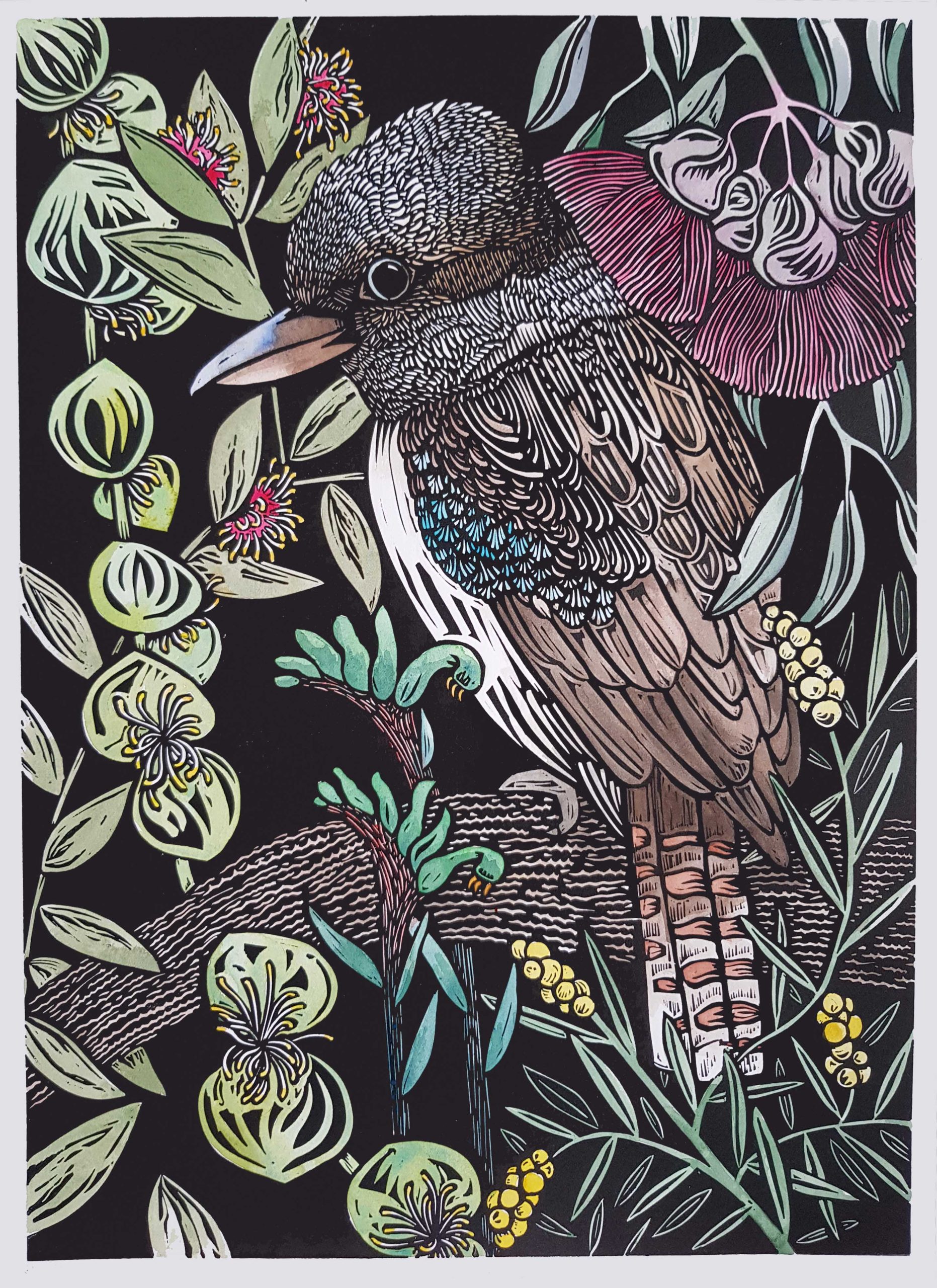 Kookaburra Perch By Nicola Cowie