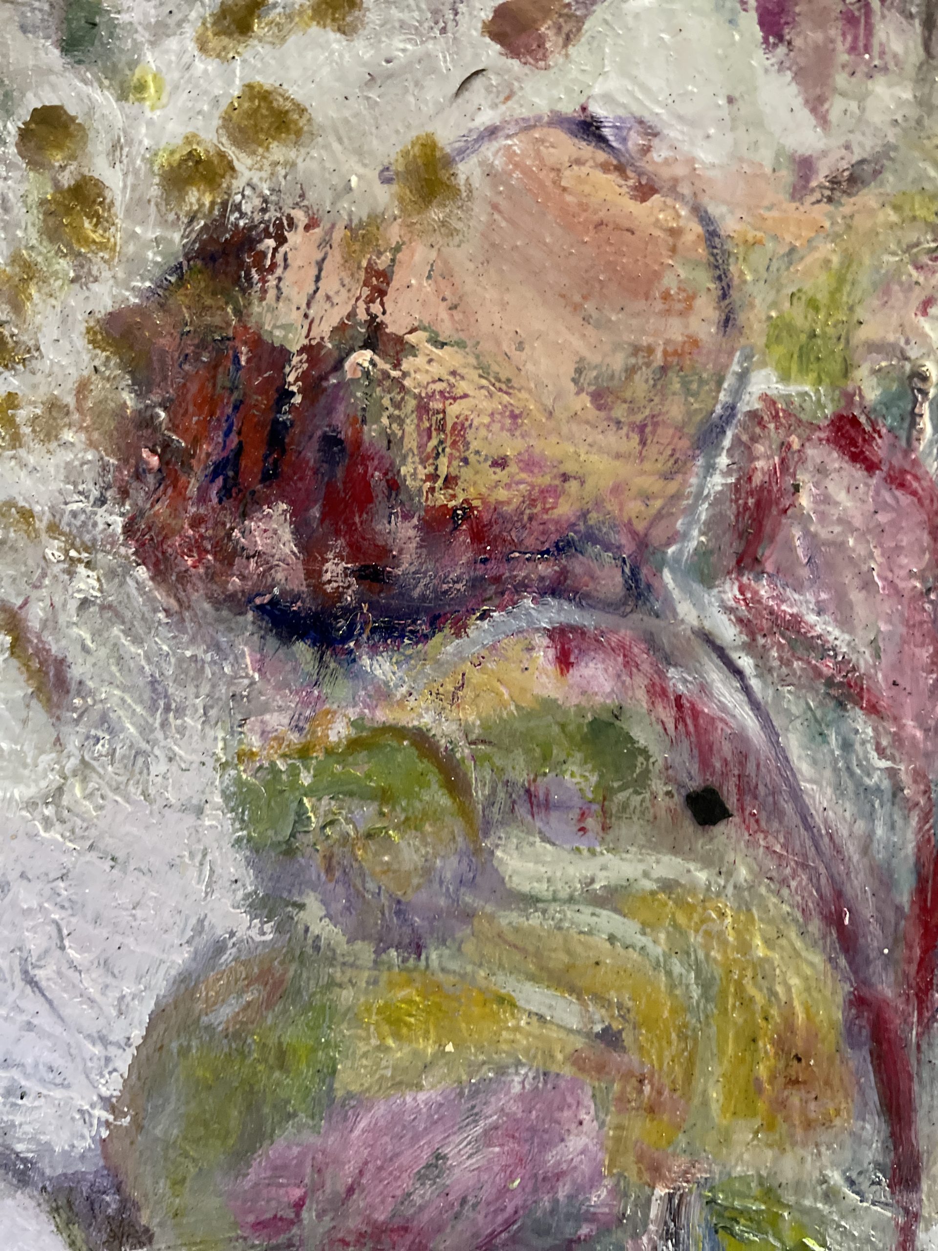 Suburban Magnolia Tree Close Up 2