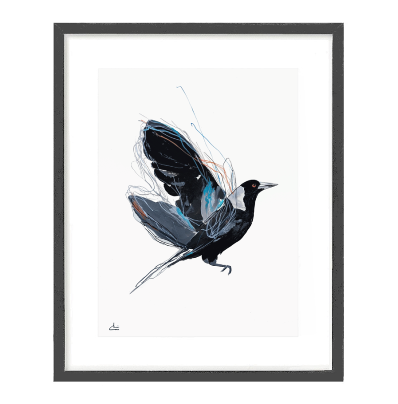 Sketchmotion Magpie I