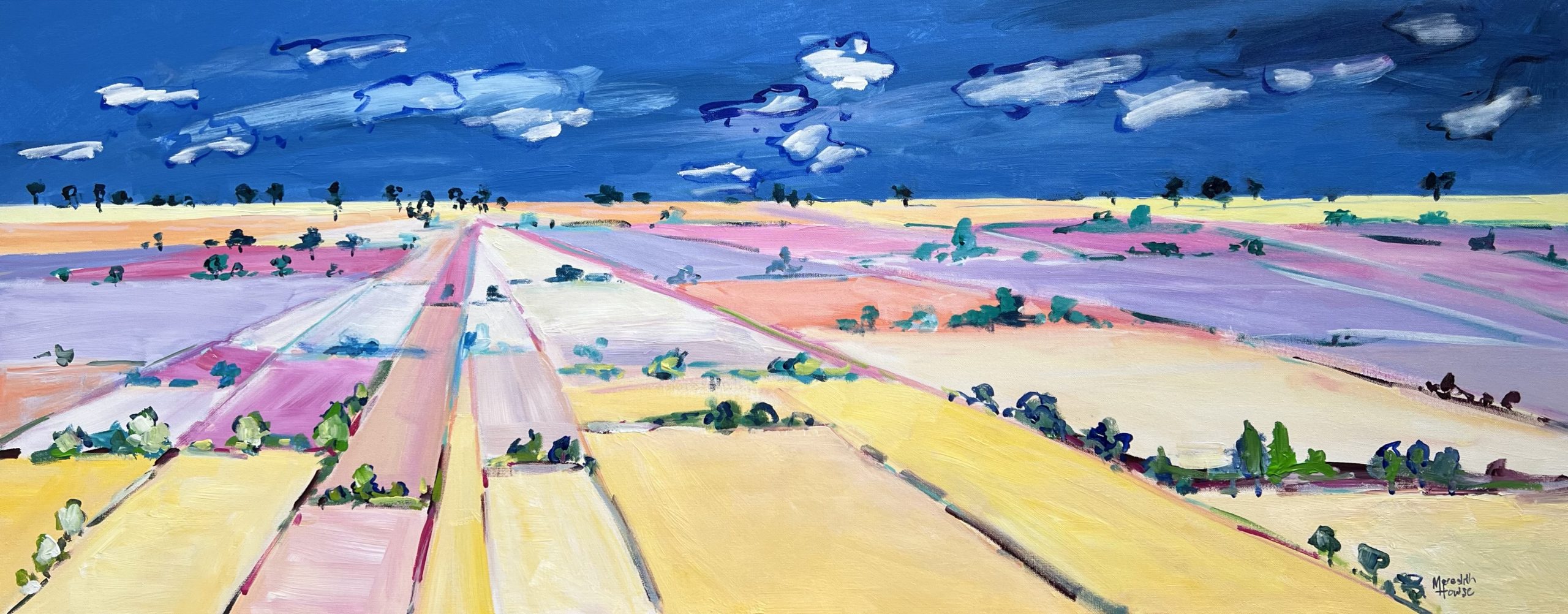 As Far As The Eye Can See (v) By Meredith Howse