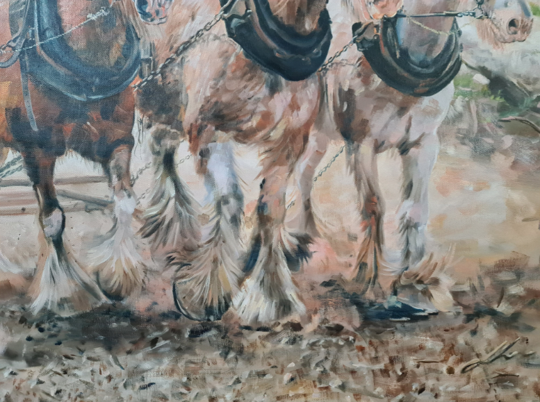 Harrowing Among The Gum Trees Clydesdales Fine Art Jo S. Stacey Paint And Pony Close Up Hooves