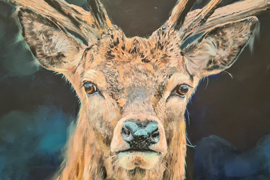 Death Before Dishonour Fine Art Oils Jo S. Stacey Paint And Pony Close Up Head