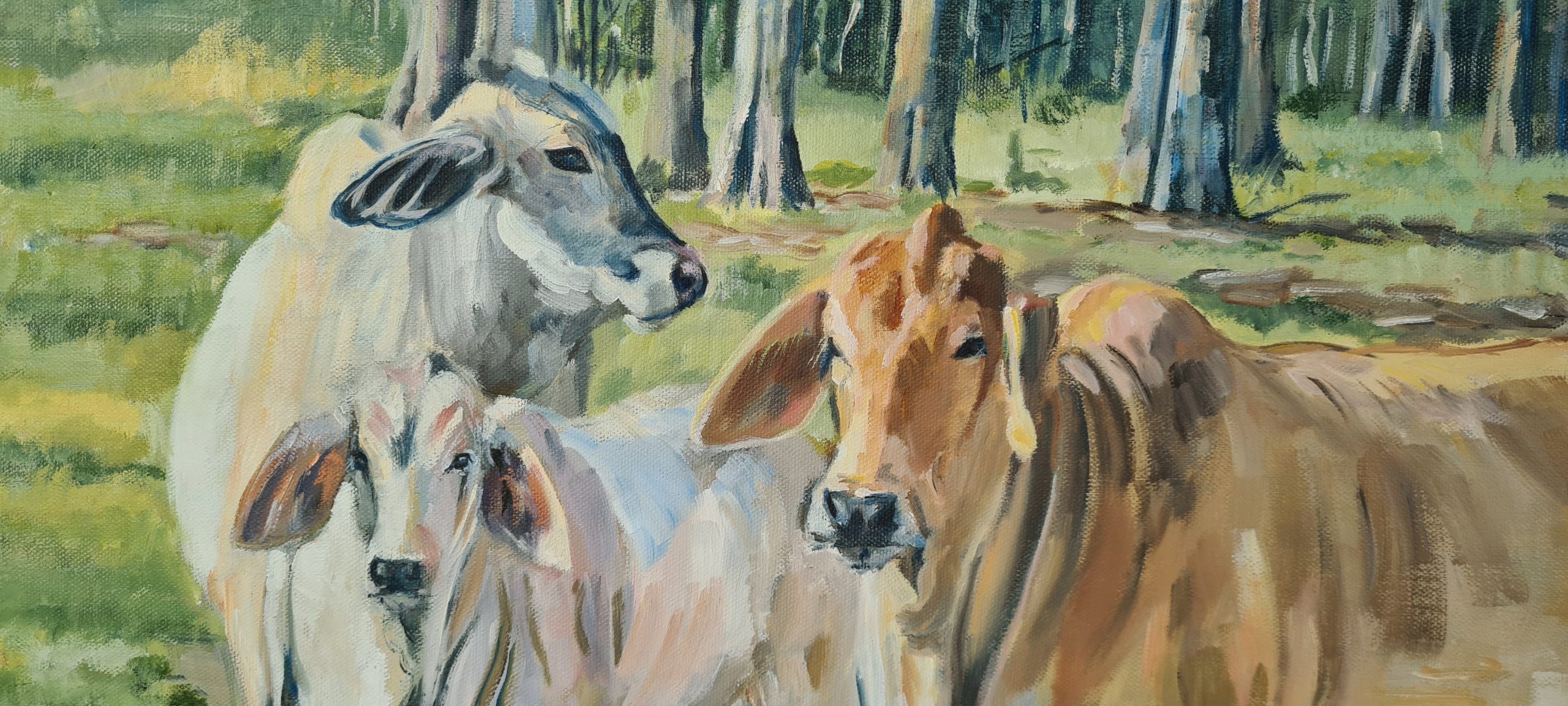 Jo S. Stacey Paint And Pony Fine Art Oils Morning Visits Cows Close Up Red Brahman And Grey Brahman