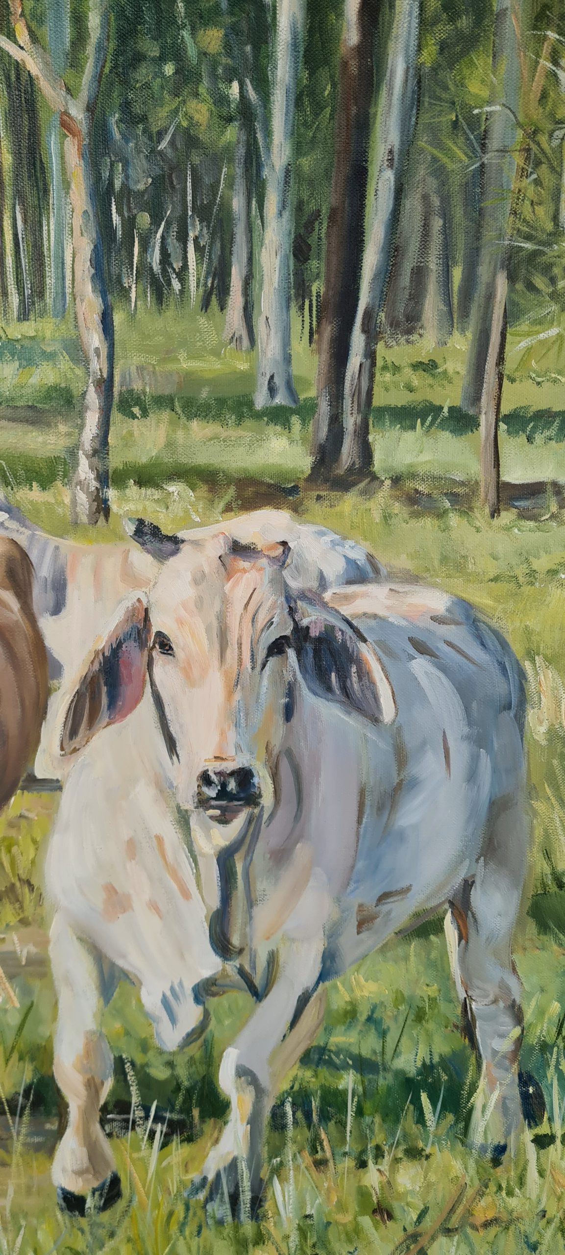 Jo S. Stacey Paint And Pony Fine Art Oils Morning Visits Cows Grey Brahman