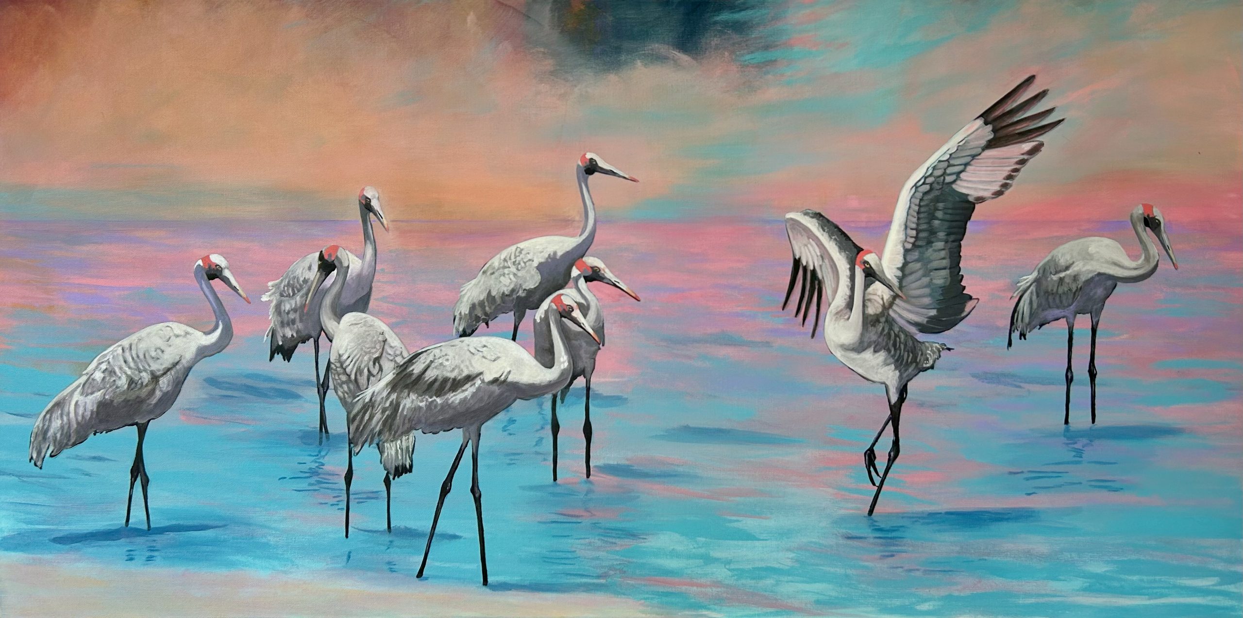 I Can See Clearly Now Brolgas