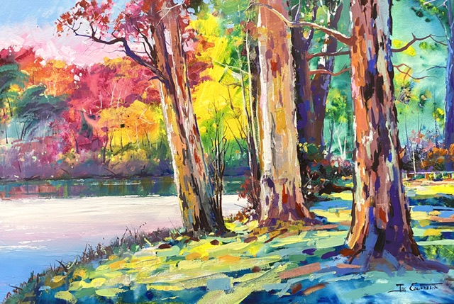 Gumtrees by the Denmark River