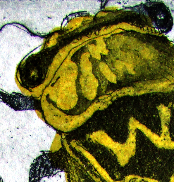 Yellow Monday Cicadas Det1