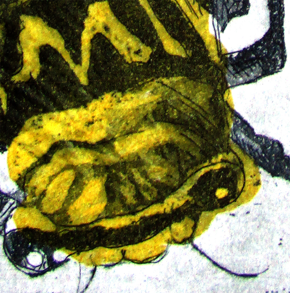 Yellow Monday Cicadas Det2