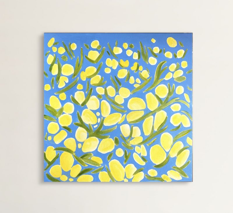 Wandering by the wattles