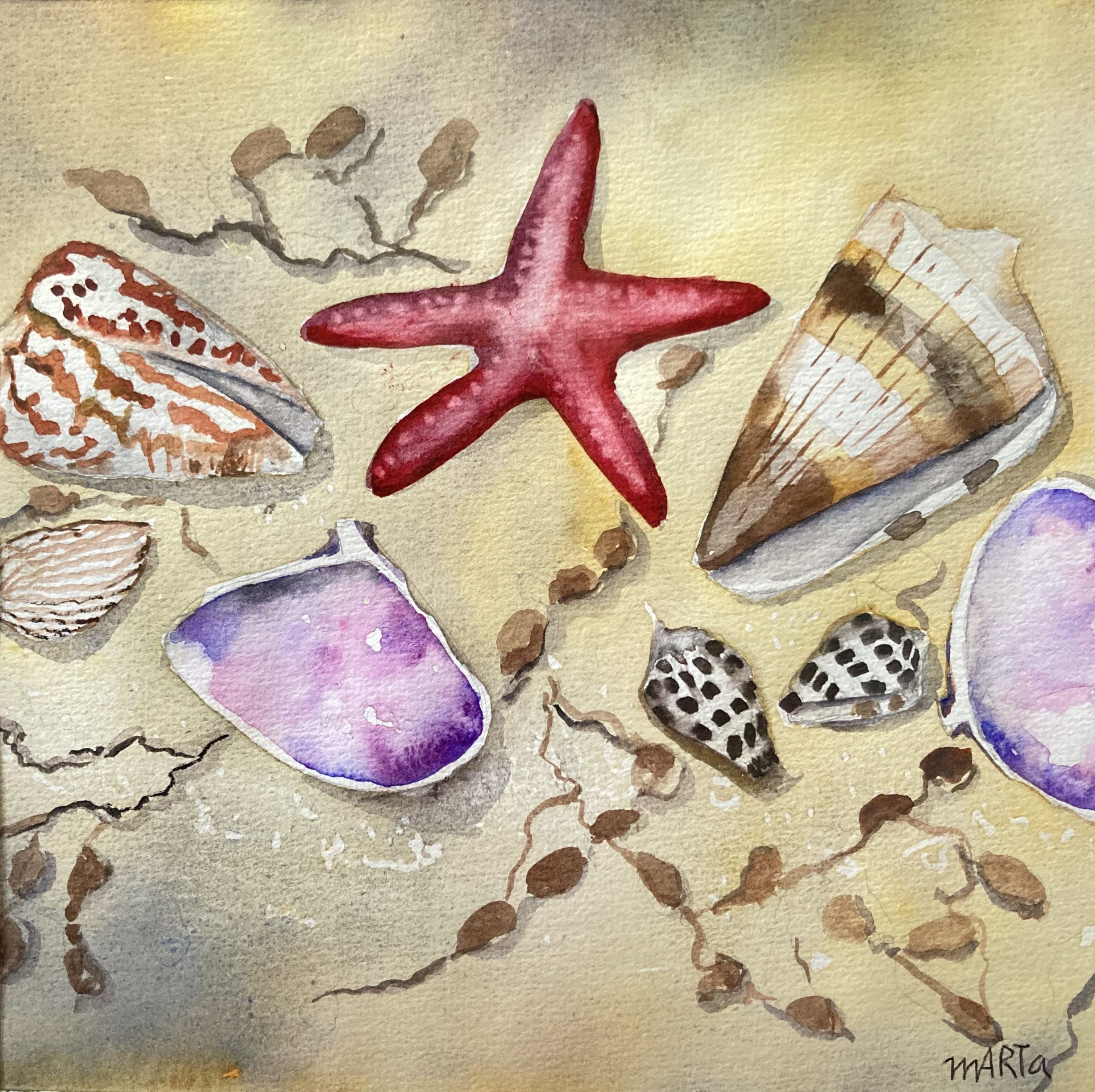 Mbj 259 Beach Combing