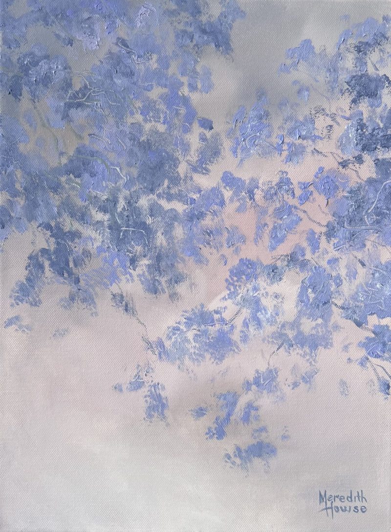 Illumination Jacaranda Thoughts