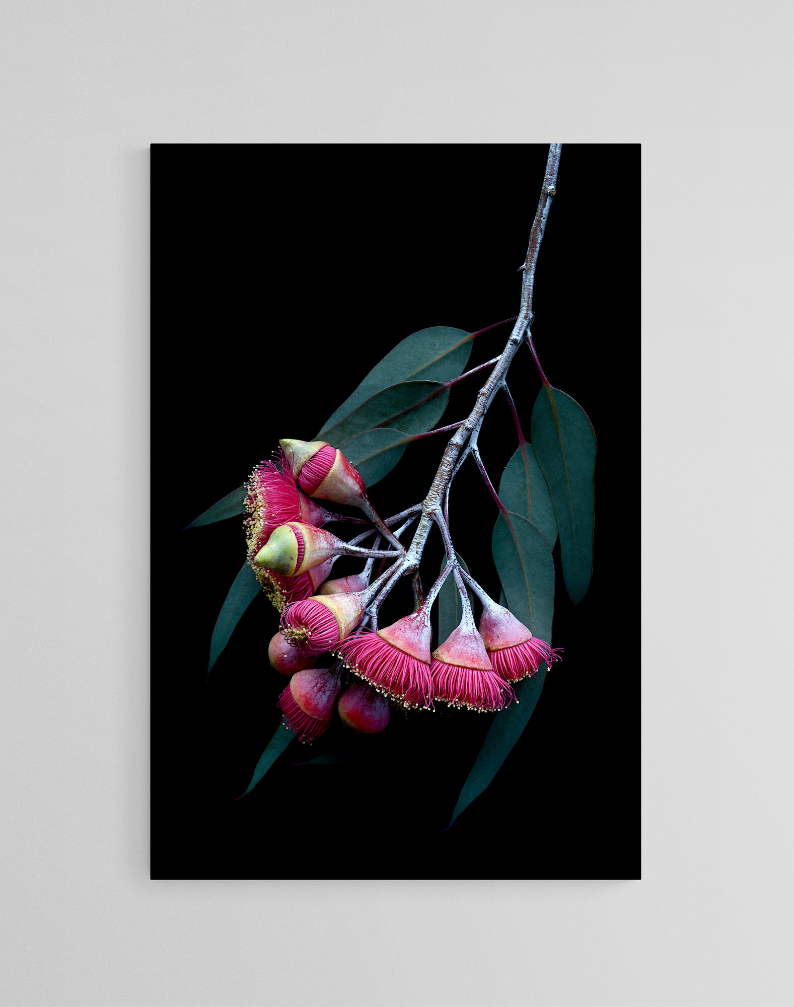 Empty Room 2024 06 15t173529.196